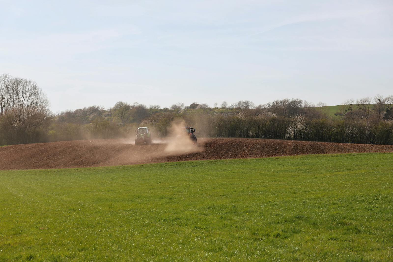 Bachelor of Science in Agriculture in Applied Plant and Soil Sciences ...